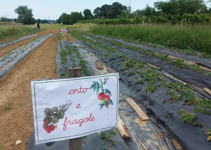 Agriturismo Bosco Del Fracasso Villa